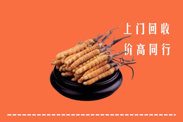 高价求购：天水市清水县回收散虫草