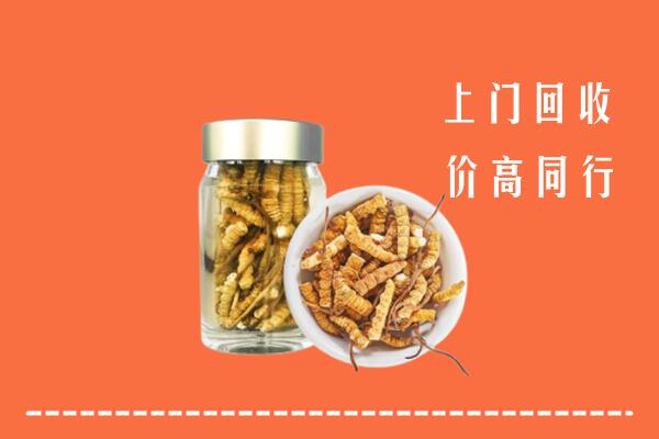 天水市清水县回收冬虫夏草